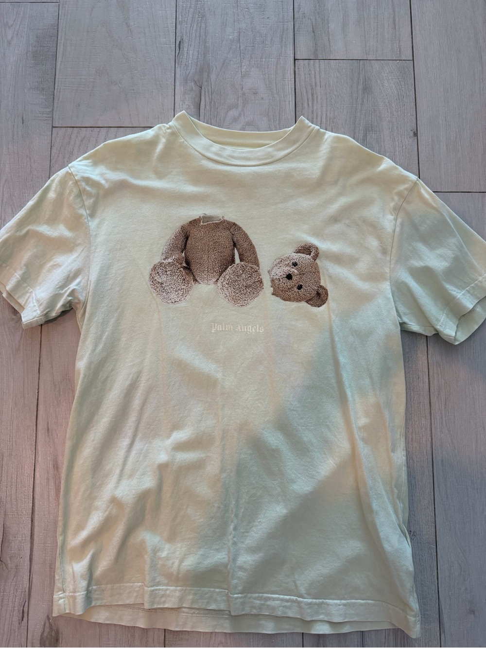 Palm Angels Mint Green Teddy Head Split Graphic Tee